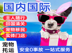 天津机场物流国际宠物托运 【国